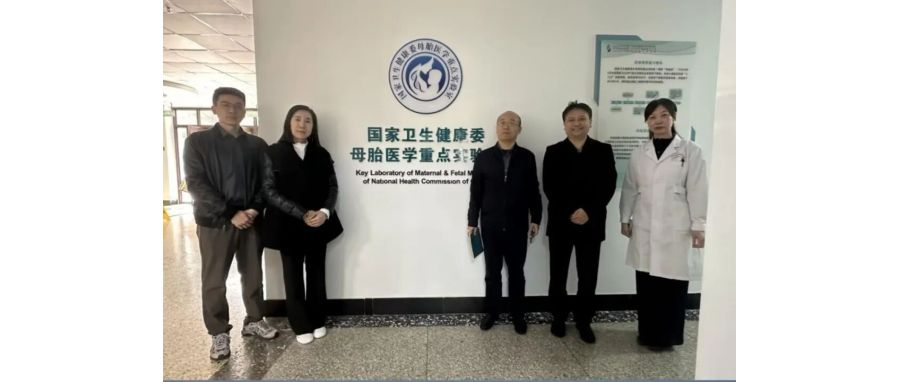 研讨合作｜K8官网团队访问山东省妇幼保健院，共探妇幼领域细胞治疗创新应用